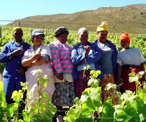 3 Rakawyne onder Top 100 in Suid-Afrika